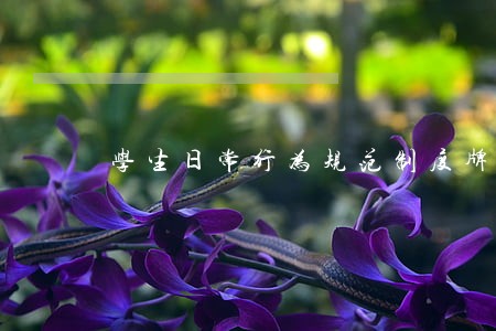 学生日常行为规范制度牌模板 学生日常行为规范制度牌模板