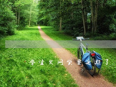 学生欠网贷要逾期了 学生欠网贷要逾期了
