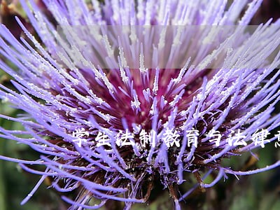学生法制教育与法律意识研究 学生法制教育与法律意识研究