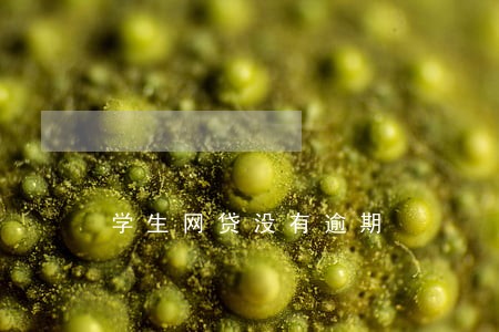 学生网贷没有逾期 学生网贷没有逾期
