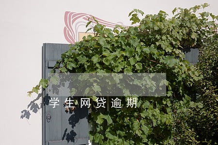 学生网贷逾期