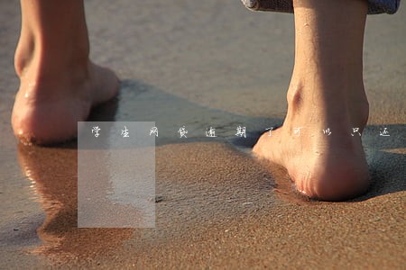 学生网贷逾期了可以只还本金吗 学生网贷逾期了可以只还本金吗
