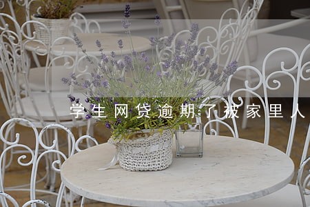学生网贷逾期了被家里人知道了 学生网贷逾期了被家里人知道了