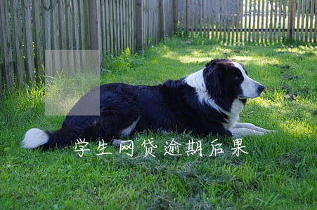 学生网贷逾期后果 学生网贷逾期后果