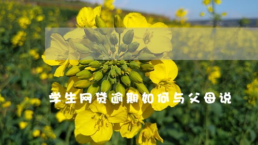 学生网贷逾期如何与父母说 学生网贷逾期如何与父母说
