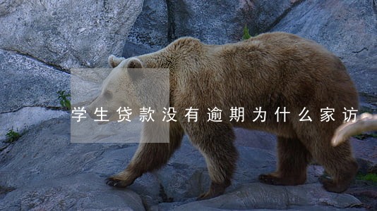 学生贷款没有逾期为什么家访 学生贷款没有逾期为什么家访