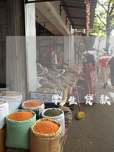 学生贷款读书逾期还款 学生贷款读书逾期还款