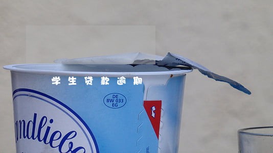 学生贷款逾期 学生贷款逾期