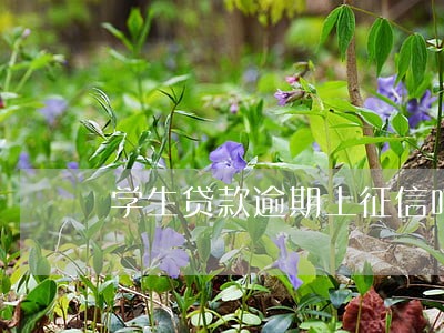 学生贷款逾期上征信吗 学生贷款逾期上征信吗