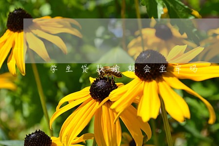 学生贷款逾期会坐牢吗
