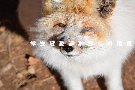 学生贷款逾期怎么办理信用卡 学生贷款逾期怎么办理信用卡