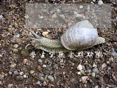 学生贷款逾期期限 学生贷款逾期期限