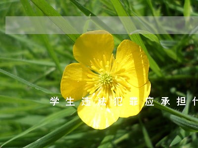 学生违法犯罪应承担什么法律责任