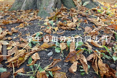 学生适用劳动合同法吗