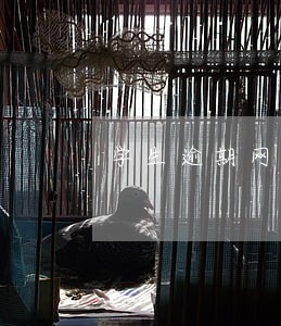 学生逾期网贷 学生逾期网贷