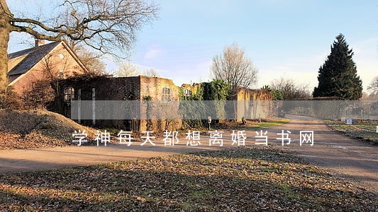 学神每天都想离婚当书网 学神每天都想离婚当书网