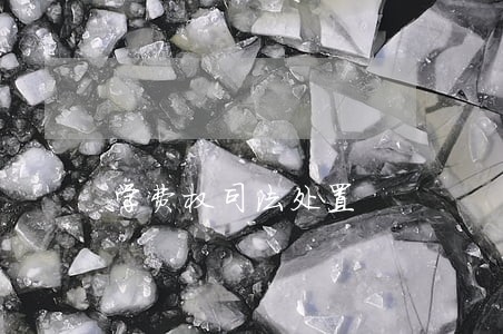 学费权司法处置 学费权司法处置