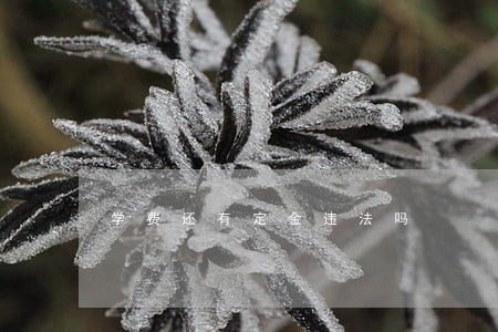 学费还有定金违法吗 学费还有定金违法吗