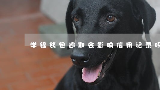 学银钱包逾期会影响信用记录吗 学银钱包逾期会影响信用记录吗