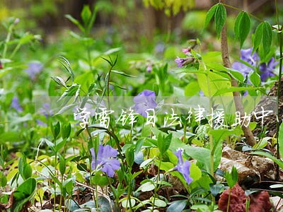 学雷锋日法律援助中心宣传活动