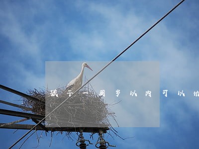孩子一周岁以内可以协议离婚吗 孩子一周岁以内可以协议离婚吗