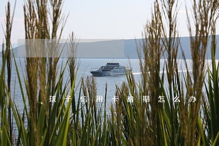 孩子信用卡逾期怎么办