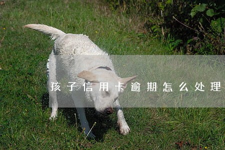 孩子信用卡逾期怎么处理 孩子信用卡逾期怎么处理