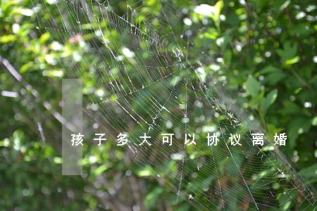 孩子多大可以协议离婚 孩子多大可以协议离婚