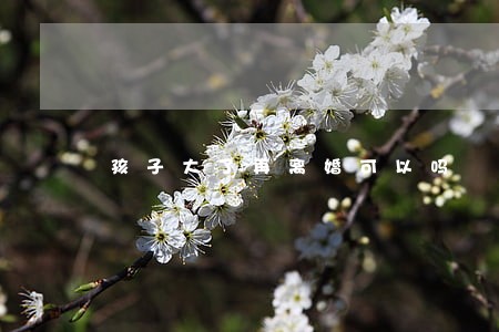 孩子大了再离婚可以吗