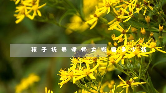 孩子抚养律师大概要多少钱