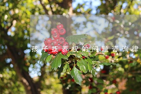 孩子抚养权的问题咨询律师 孩子抚养权的问题咨询律师