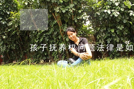 孩子抚养权问题法律是如何规定的