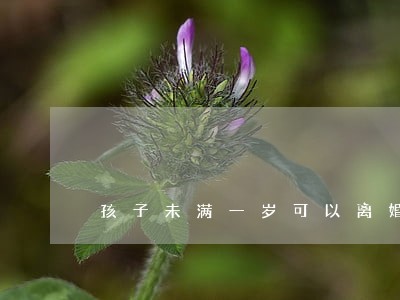 孩子未满一岁可以离婚要去法院吗 孩子未满一岁可以离婚要去法院吗