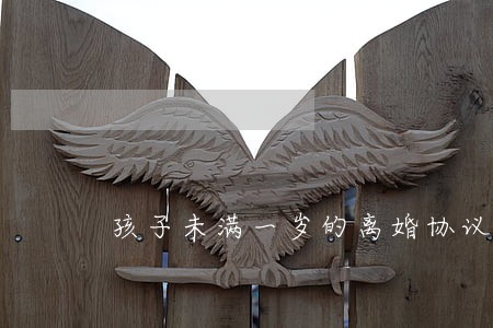 孩子未满一岁的离婚协议 孩子未满一岁的离婚协议
