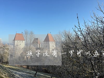 孩子没有一岁可以办离婚吗 孩子没有一岁可以办离婚吗