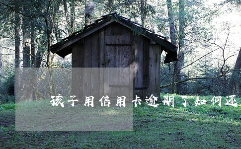 孩子用信用卡逾期了如何还 孩子用信用卡逾期了如何还