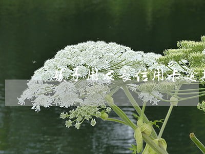 孩子用家长信用卡逾期了 孩子用家长信用卡逾期了