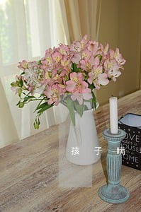 孩子瞒着母亲和媳妇离婚