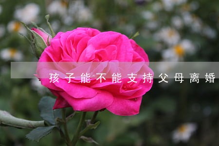 孩子能不能支持父母离婚