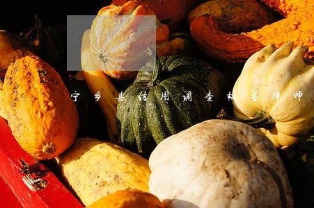 宁乡县信用调查报告律师怎么找 宁乡县信用调查报告律师怎么找