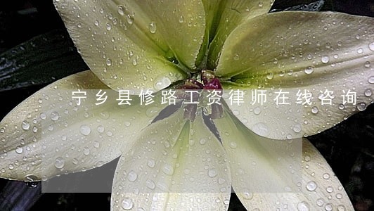 宁乡县修路工资律师在线咨询 宁乡县修路工资律师在线咨询