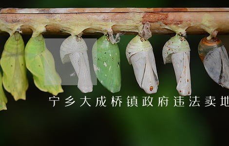 宁乡大成桥镇政府违法卖地败诉 宁乡大成桥镇政府违法卖地败诉