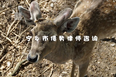 宁乡市债务律师咨询 宁乡市债务律师咨询