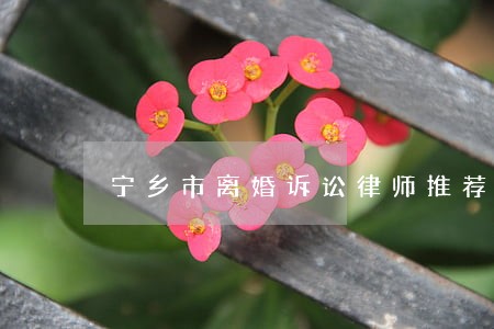 宁乡市离婚诉讼律师推荐 宁乡市离婚诉讼律师推荐