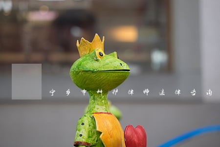 宁乡市辩护律师法律咨询 宁乡市辩护律师法律咨询