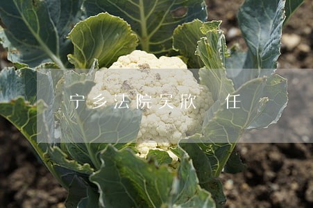 宁乡法院吴欣曽任 宁乡法院吴欣曽任