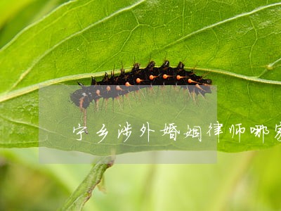 宁乡涉外婚姻律师哪家好 宁乡涉外婚姻律师哪家好