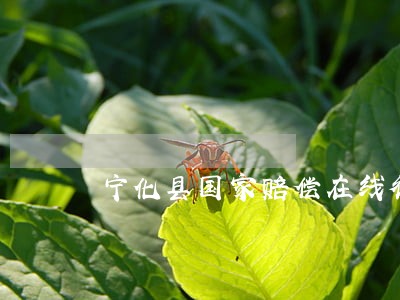 宁化县国家赔偿在线律师 宁化县国家赔偿在线律师