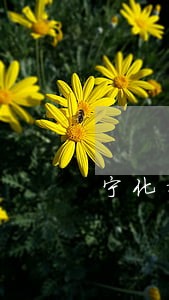 宁化拍卖二手车淘宝网 宁化拍卖二手车淘宝网