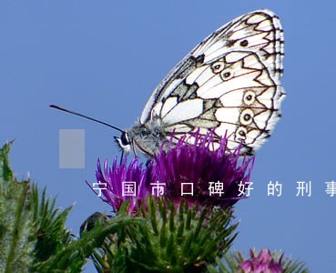 宁国市口碑好的刑事律师 宁国市口碑好的刑事律师
